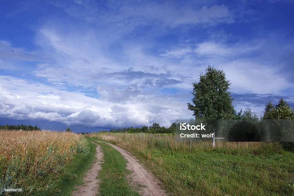 Sommer-Landschaft mit einem Feld von Weizen und road - Lizenzfrei Agrarbetrieb Stock-Foto