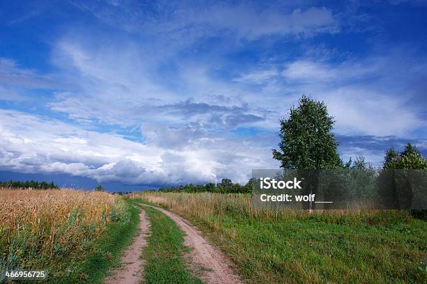 Sommerlandschaft Mit Einem Feld Von Weizen Und Road Stockfoto und mehr Bilder von Agrarbetrieb