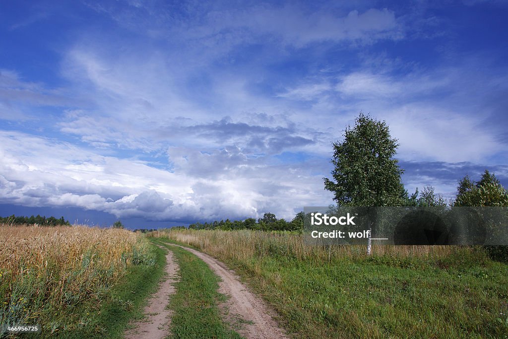 Paisagem de verão com o campo de trigo e road - Foto de stock de Agricultura royalty-free