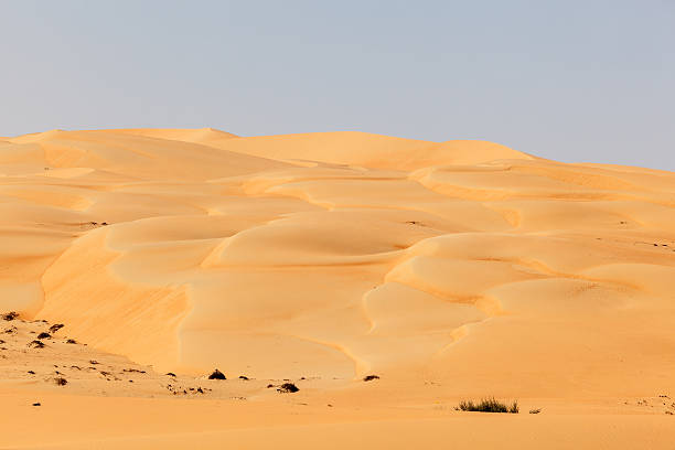 istock Desert landscape in Abu Dhabi 466956754