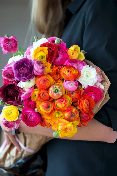 istock Bunch of Ranunculus in Hands 466957944