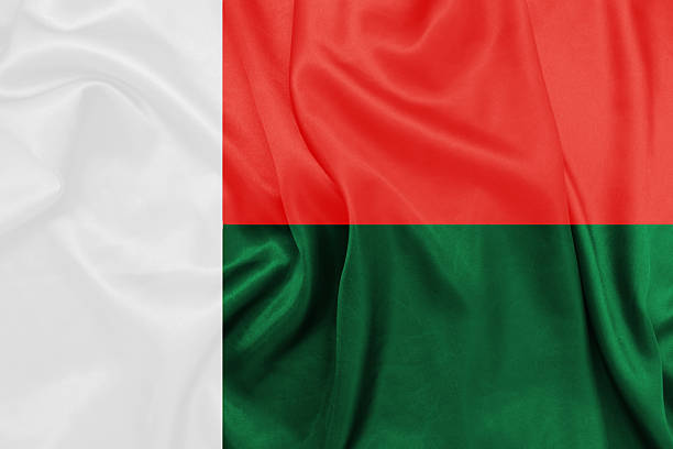 istock Madagascar - Waving national flag on silk texture 466959216