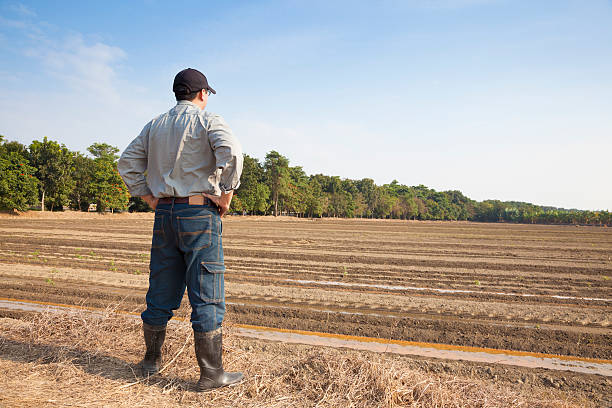 istock Farmer  standing on farming land 466959846