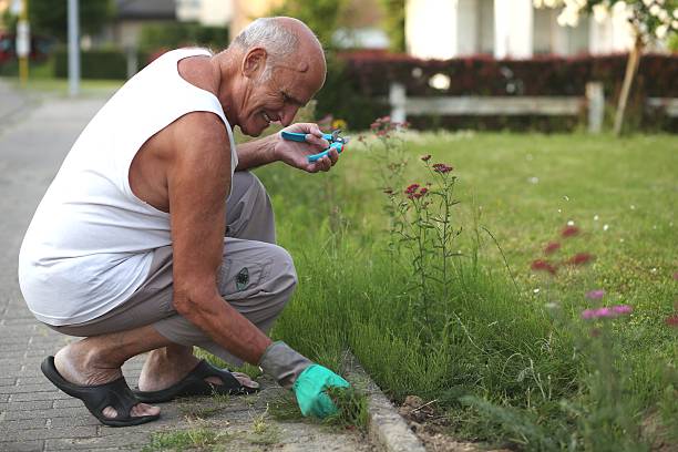 istock Gardening makes seniors happy 466960111