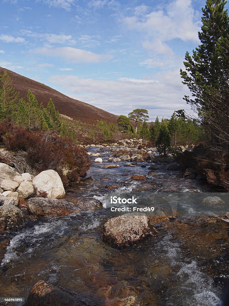 Cairngorms 산맥, Gleann Laoigh Bheag, Luibeg 강, 오요 봄 - 로열티 프리 0명 스톡 사진