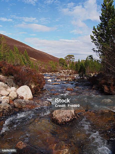 Cairngorms 산맥 Gleann Laoigh Bheag Luibeg 강 오요 봄 0명에 대한 스톡 사진 및 기타 이미지 - 0명, 강, 경관