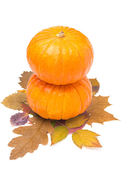 istock two round orange pumpkin on autumn leaves isolated 466961991