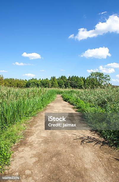 Camino Foto de stock y más banco de imágenes de 2015 - 2015, Agricultura, Aire libre