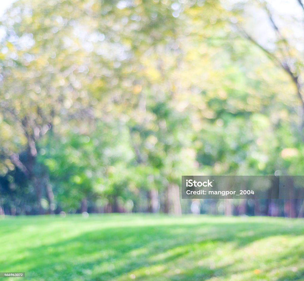 Blurred park with bokeh background Blurred park with bokeh background, spring and summer season 2015 Stock Photo