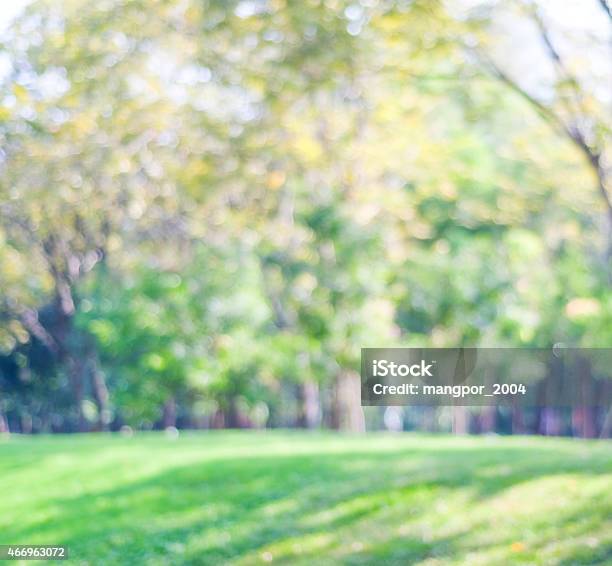 Blurred Park With Bokeh Background Stock Photo - Download Image Now - 2015, Abstract, Agricultural Field