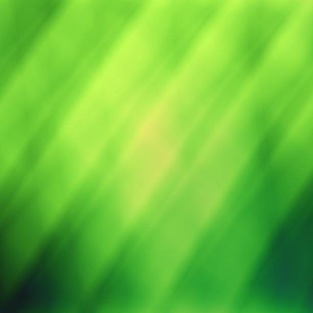 istock Nature floral green texture design 466964823