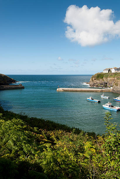 istock pier of Port Isaac 466967443