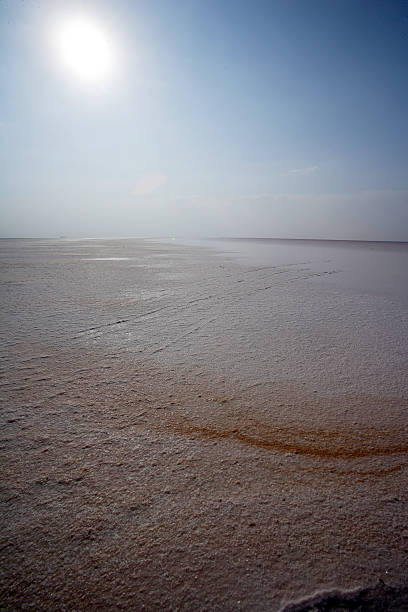 Salty landscapes, greater rann of kutch, Gujrath, India stock photo