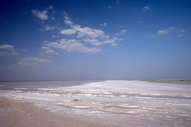 соленые пейзажи, более rann of kutch, gujrath, индия - horizontal landscape coastline gujarat стоковые фото и изображения