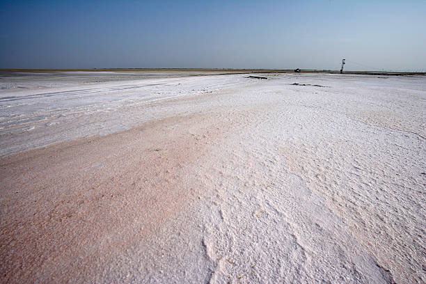 salzige landschaften, greater rann von kutch, gujrath, indien - horizontal landscape coastline gujarat stock-fotos und bilder