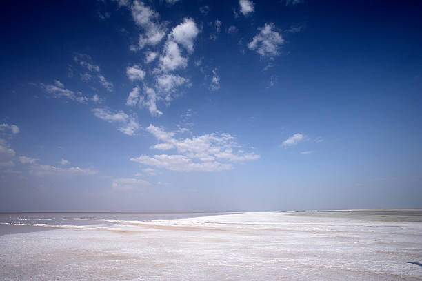 salzige landschaften, greater rann von kutch, gujrath, indien - horizontal landscape coastline gujarat stock-fotos und bilder