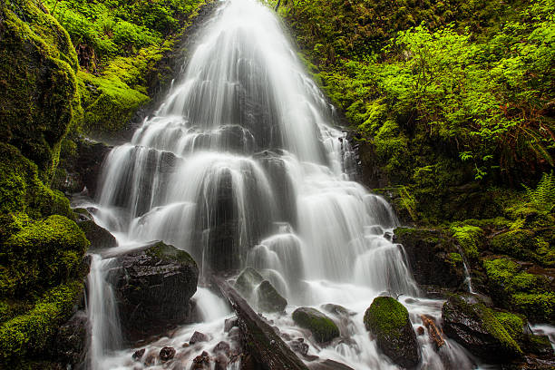 istock Fairy falls in Columbia River Gorge, Oregon 466968886
