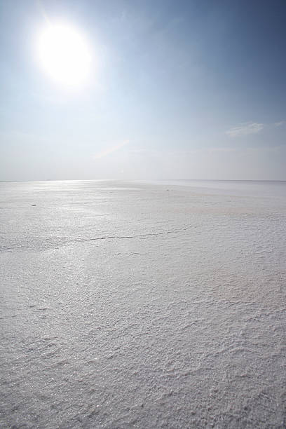 Salty landscapes, greater rann of kutch, Gujrath, India stock photo