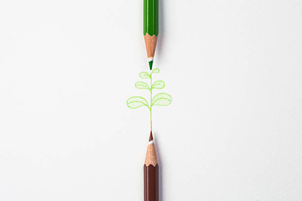 little green treen by color pencil on paper