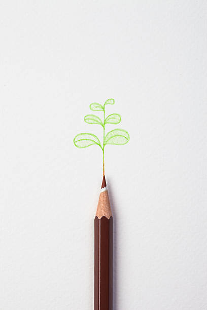 little green treen by color pencil on paper