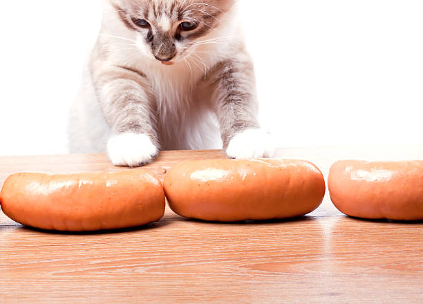 istock cat tries to steal a sausage 466970283