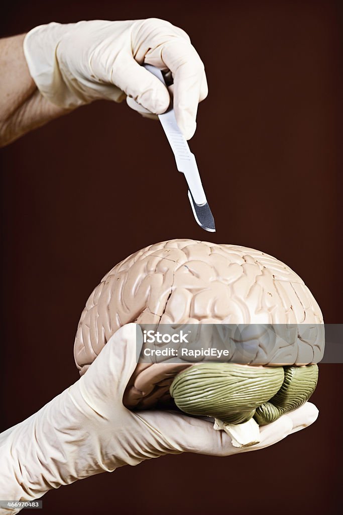 Руки в перчатке продемонстрировать Хирургия мозга на модели - Стоковые фото Анатомическая модель роялти-фри