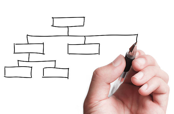 A white hand drawing a family tree in black pen Hand is drawing blank chart on transparent white board. paintball photography stock pictures, royalty-free photos & images