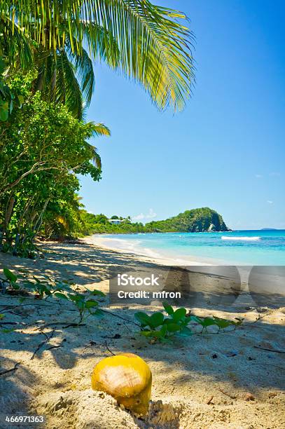 Herrlichen Ausblick Auf Tortola Britische Jungferninseln Stockfoto und mehr Bilder von Strand