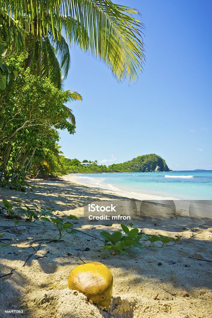 Hermosa vista de tórtola, las islas vírgenes británicas - Foto de stock de Playa libre de derechos