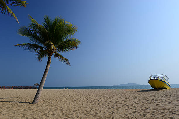 istock Coconut Palm tree and yacht on the beach. 466971378