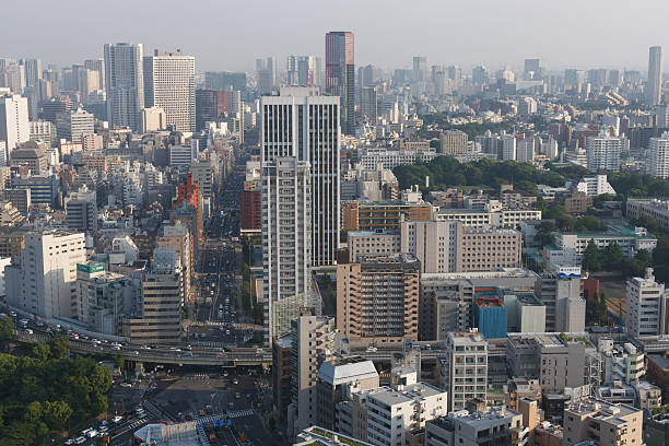 istock Tokyo Skyline in Japan 466972310