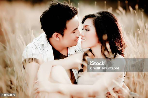 Young Couple Kissing In Summer Field Stock Photo - Download Image Now - Adult, Asia, Beach