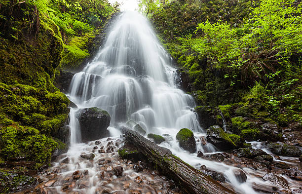 istock Fairy falls in Columbia River Gorge, Oregon 466973378