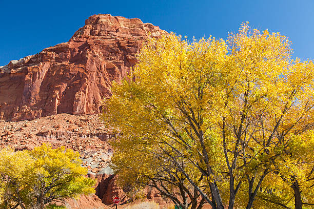 istock Capitol Reef National Park, Utah - November 2011 466973811