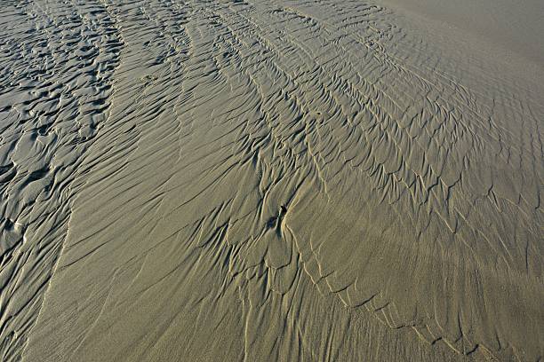 istock Beautiful textures of sand at Beach 466976404