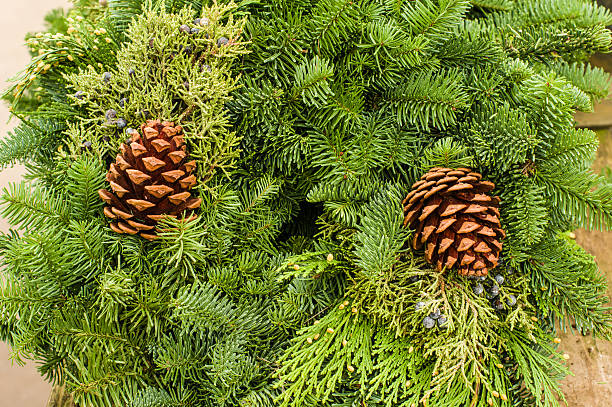 istock Evergreen wreath with pine cones and cedar 466976630