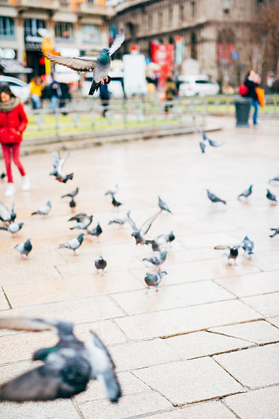 istock blurred city and people urban scene 466976656