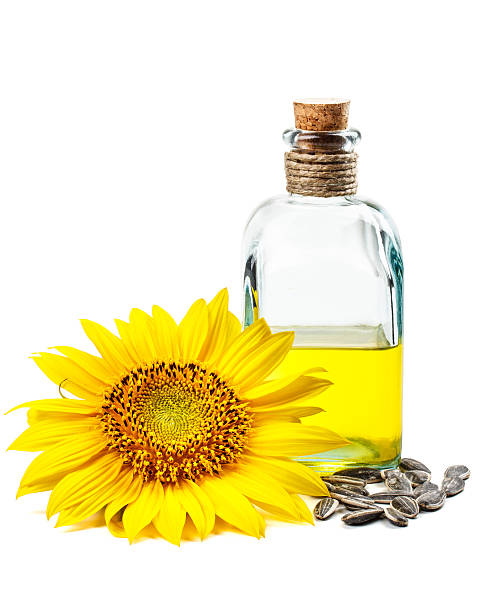 Sunflower oil stock photo