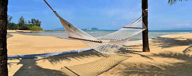 istock Hammock in palm shadow at tropical beach 466978098