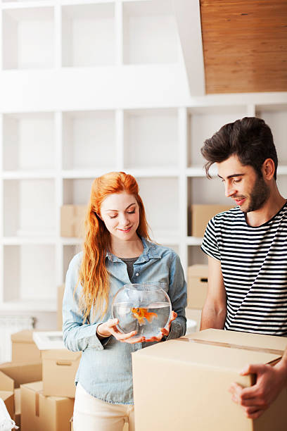 istock New beginings, couple unpacking at home. 466979679