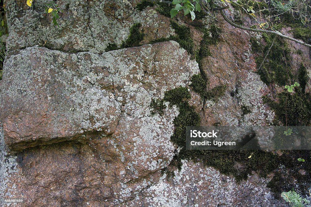 rock moss on a rock, stone Abstract Stock Photo