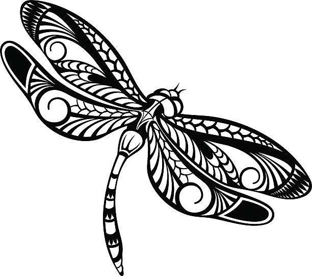 Dragonfly Vector illustration of dragonfly dragonfly tattoo stock illustrations