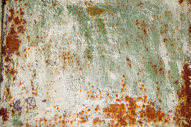 old rusty fond vert - rust fungus sign rust rusty photos et images de collection