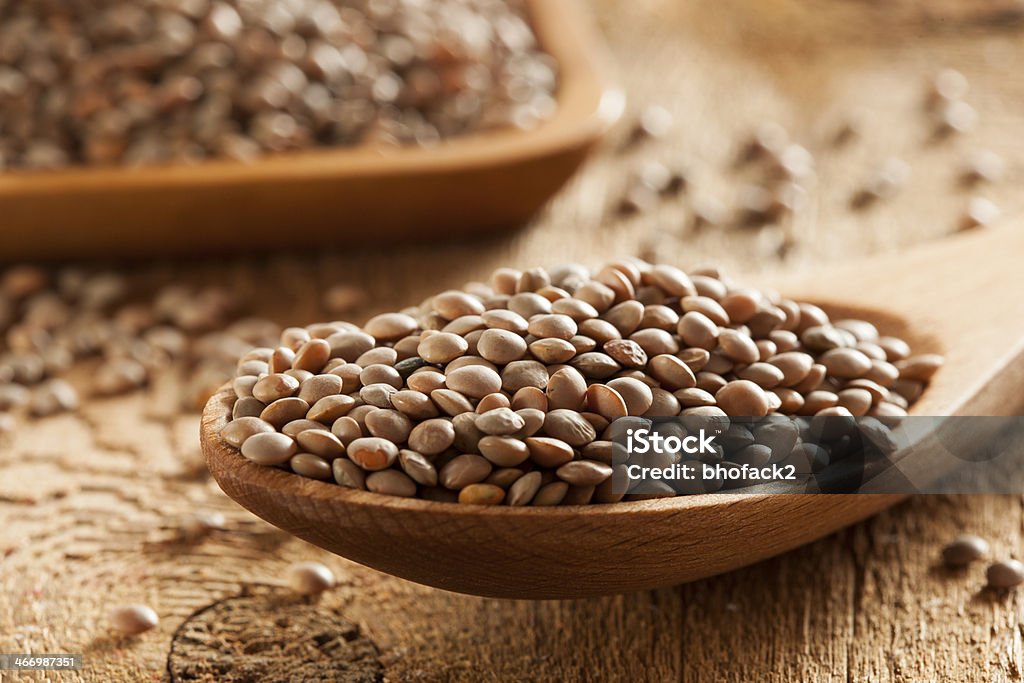 Dry Organic Brown Lentils Dry Organic Brown Lentils against a background Bean Stock Photo