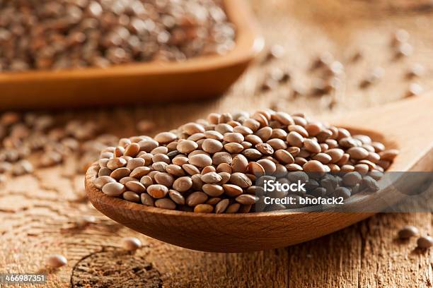 Dry Organic Brown Lentils Stock Photo - Download Image Now - Bean, Brown, Cereal Plant