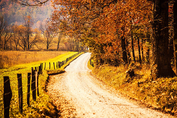 осенний сельская дорога в лесу - gatlinburg road winding road tennessee стоковые фото и изображения