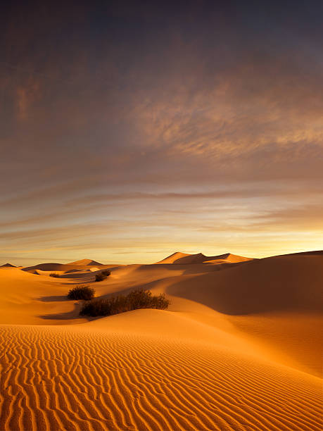 sunset dunes stock photo
