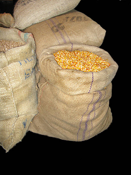 istock Sacks with corn and other cereal, isolated in black 466989227