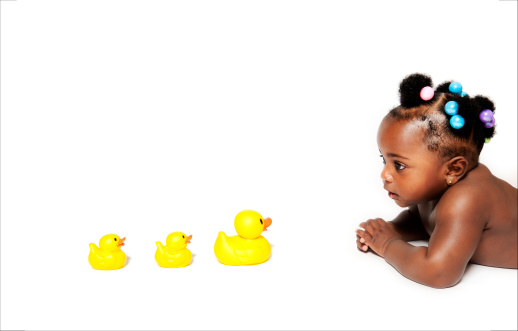 Studio portrait of a baby girl staring at three rubber ducks. Copy space.