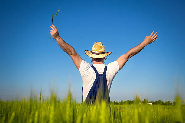 istock Farmer in a wheat field 466989555